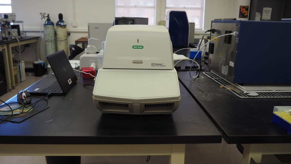 Bio-Rad CFX Connect: quantitative PCR